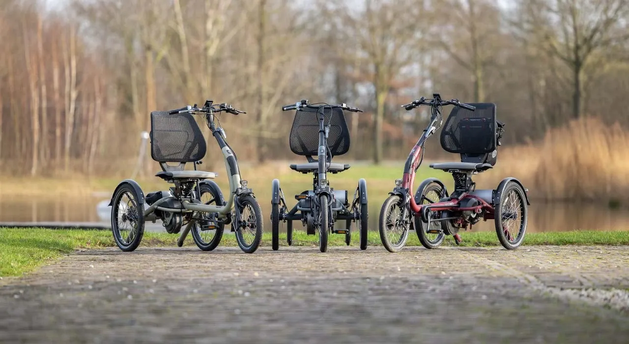 biciclette reclinate