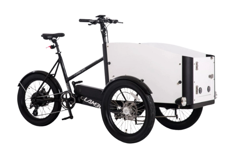 FAMILY TRIKE