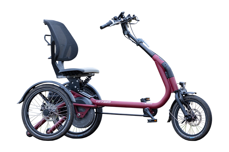 RECUMBENT TRIKE