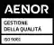 Aenor Gestione della Qualità