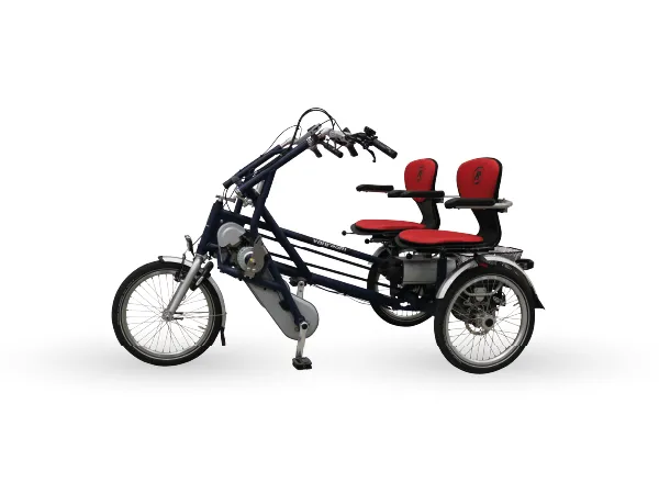 remoove special bike tandem