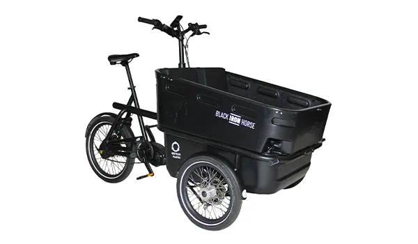 bici trasporto merci ibex family bici trasporto merci ibex family