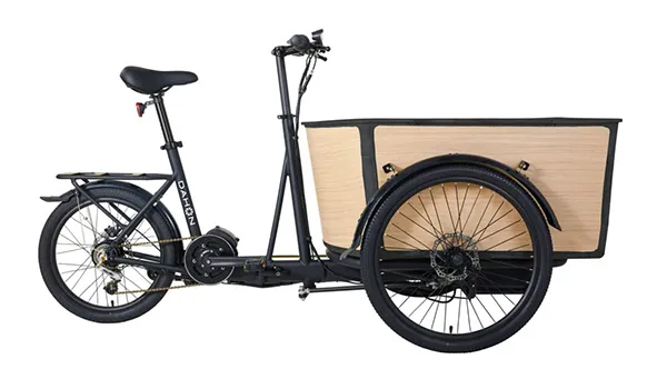 bici trasporto merci pieghevole t5 foldable bici trasporto merci pieghevole t5 foldable