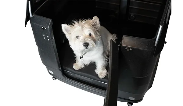 bici cargo cane polly dog bici cargo cane polly dog