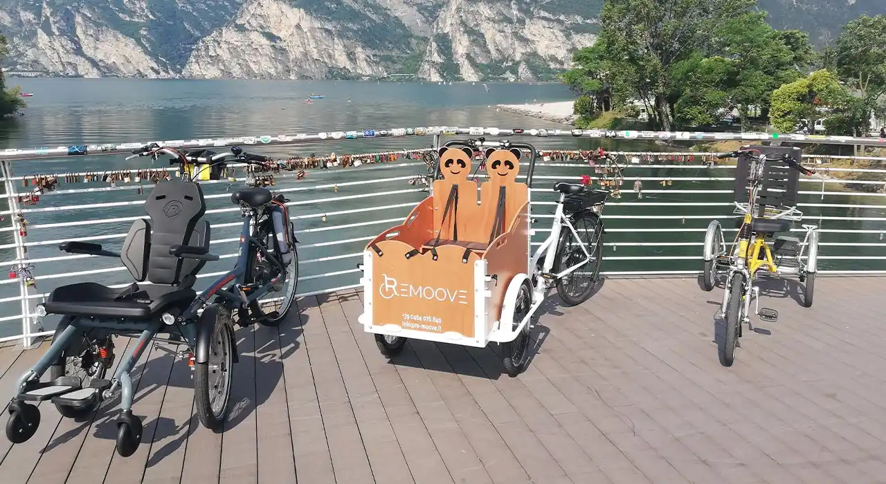 come scegliere bicicletta disabili come scegliere bicicletta disabili