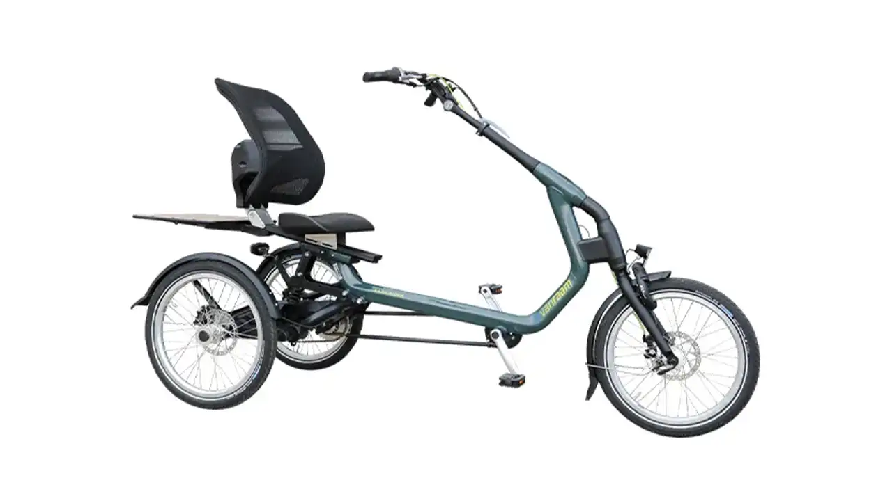 bici 3 ruote per disabili bici 3 ruote per disabili