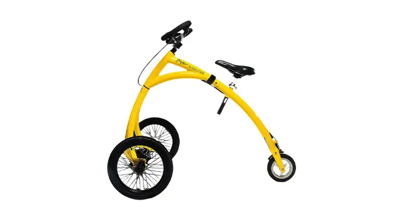 walkers bici disabili per passeggio walkers bici disabili per passeggio