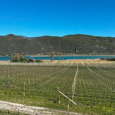 Appiano Sulla Strada Del Vino Appiano Lago Di Caldaro 1