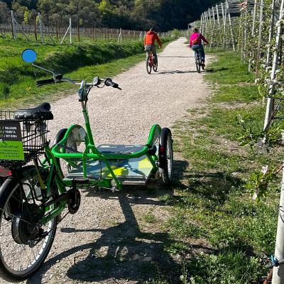 Appiano Sulla Strada Del Vino Appiano Lago Di Caldaro 2